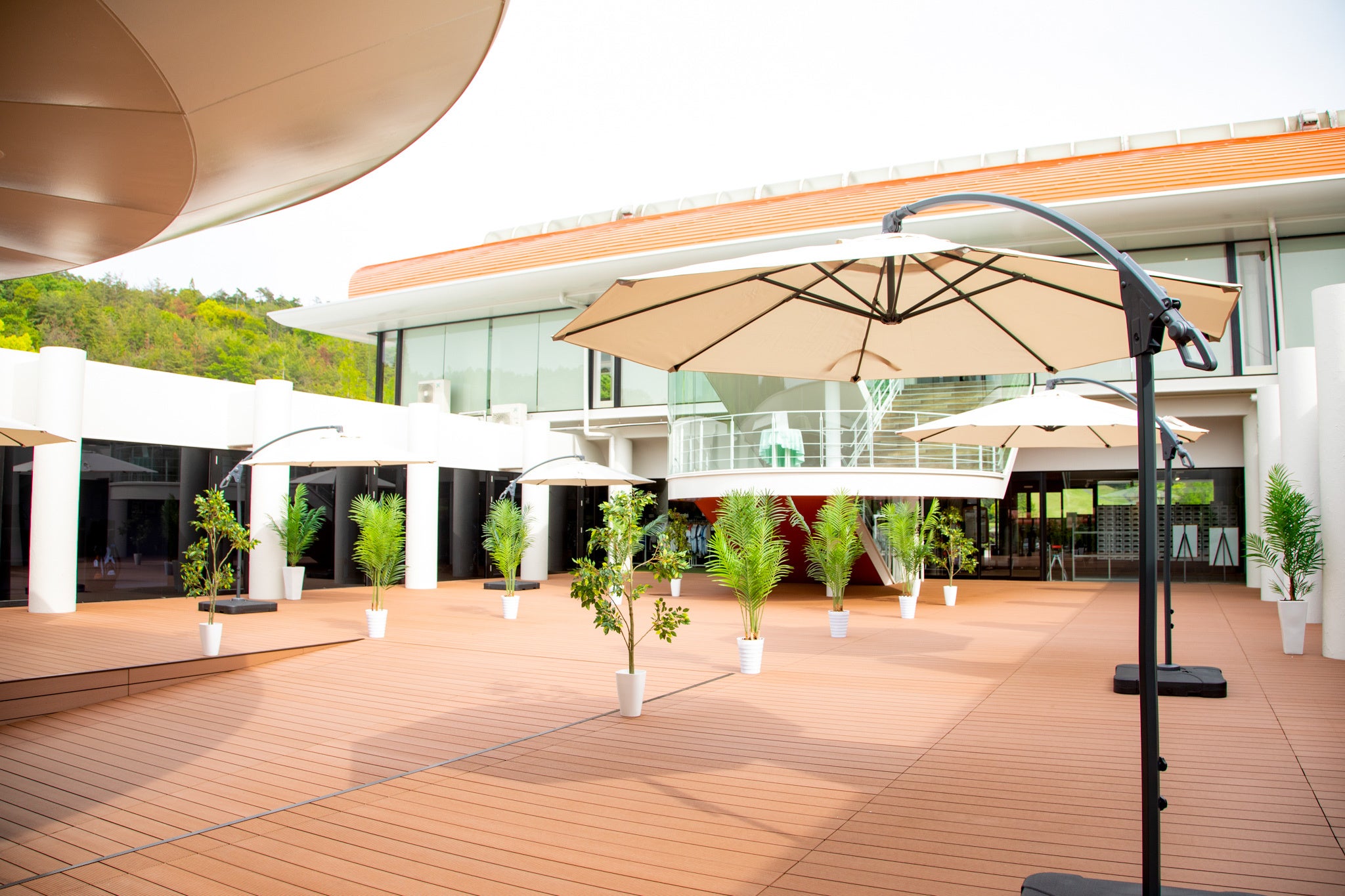 新設した中庭のウッドデッキ