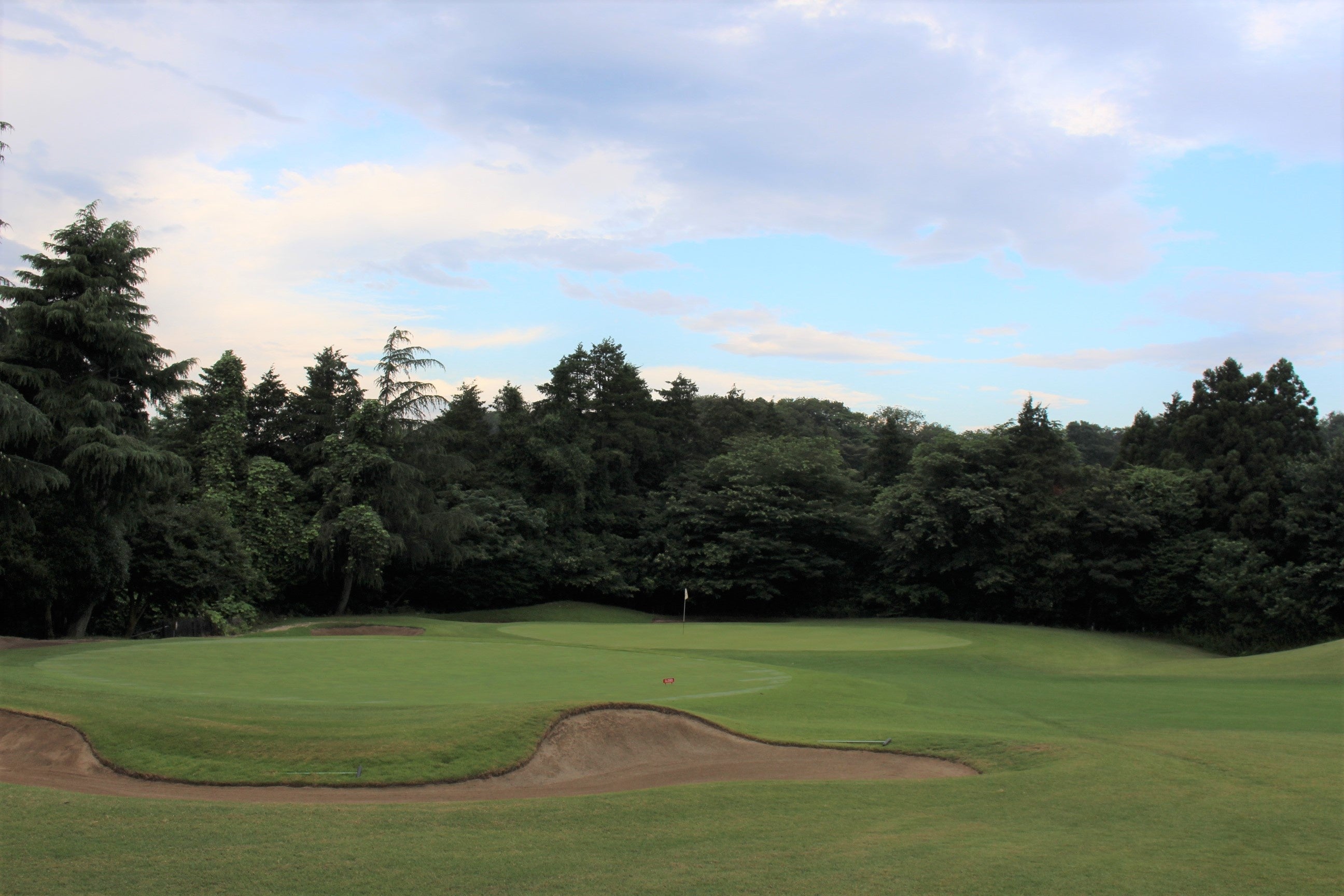 2面ともベント芝になったグリーン