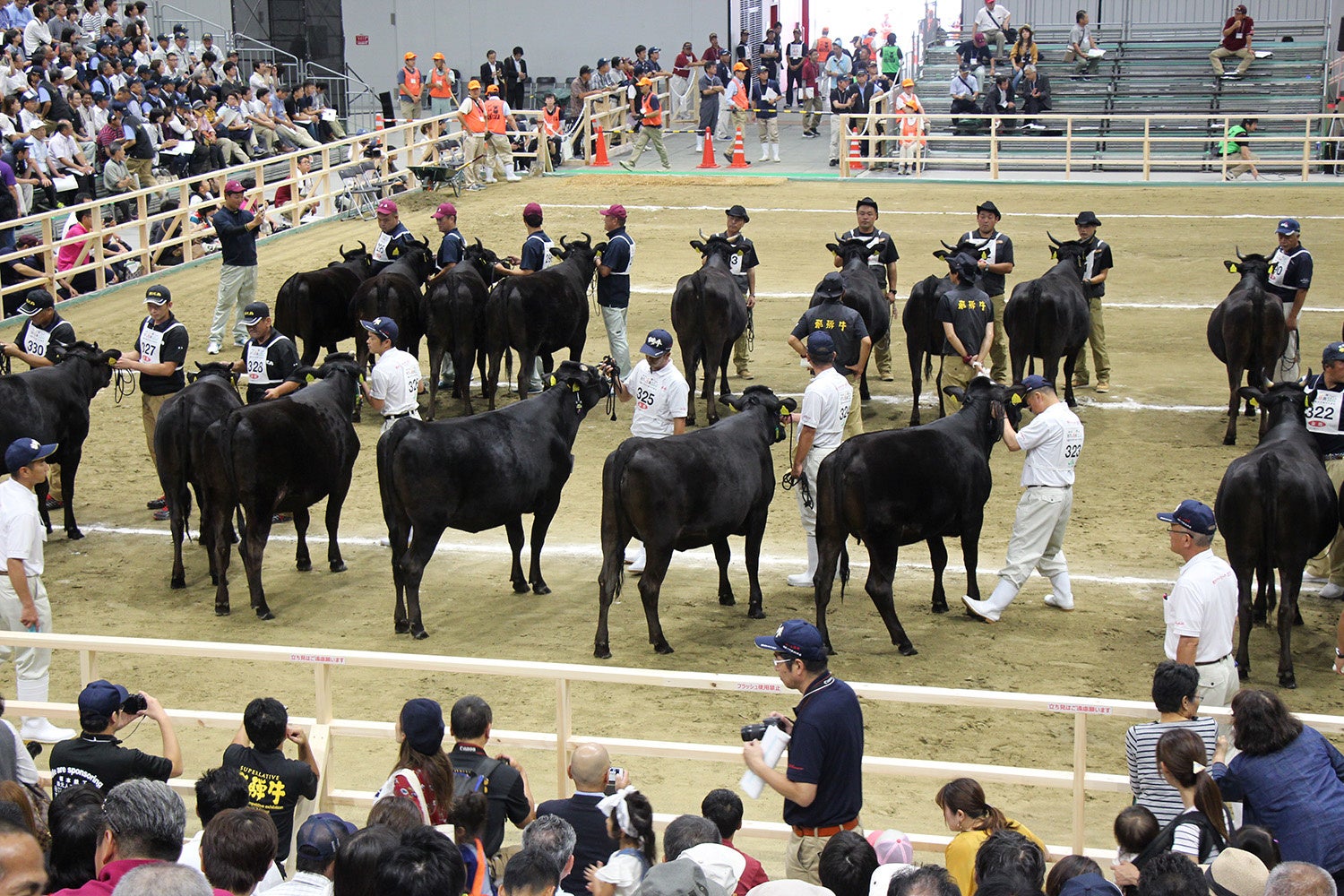最高賞受賞を目指して 全国和牛能力共進会に向け Ja宮崎経済連が宮崎牛応援動画 Snsキャンペーンを始動 宮崎県経済農業協同組合連合会のプレスリリース