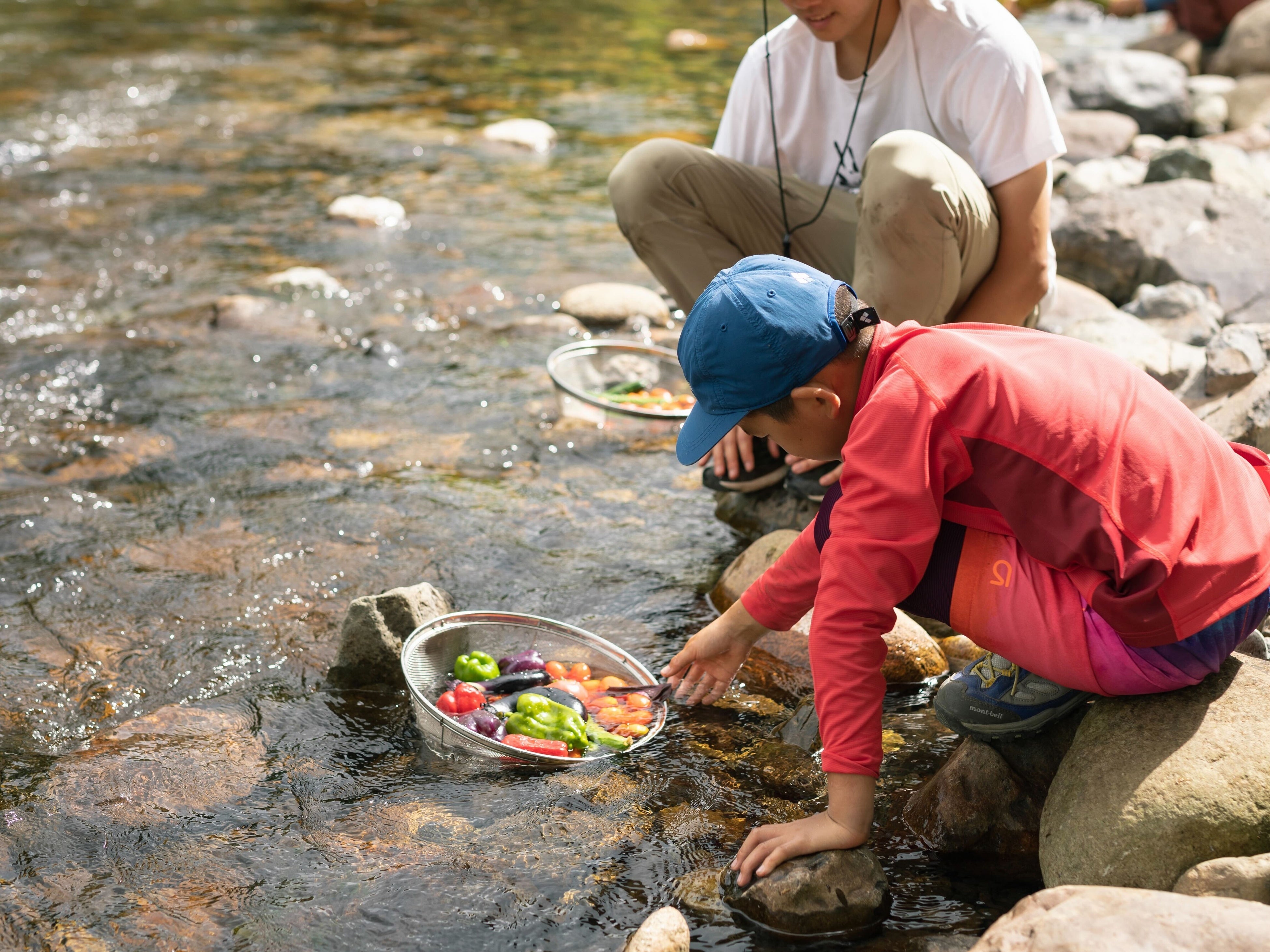 自然栽培の新鮮野菜の収穫も