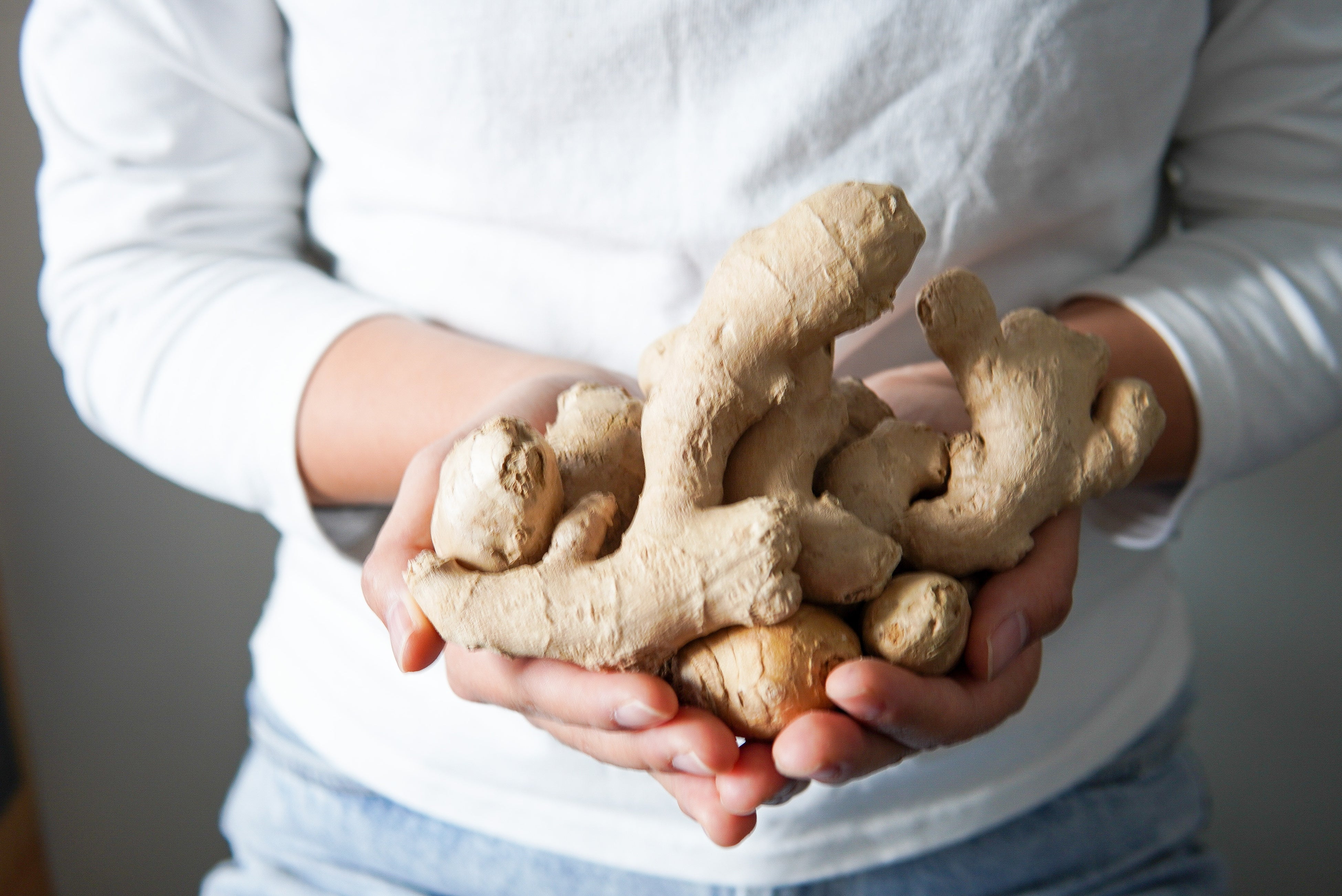 福山市駅家町産のはっとり生姜の親生姜