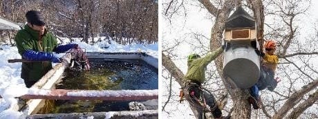 不足する魚を補う給餌と巣箱の設置