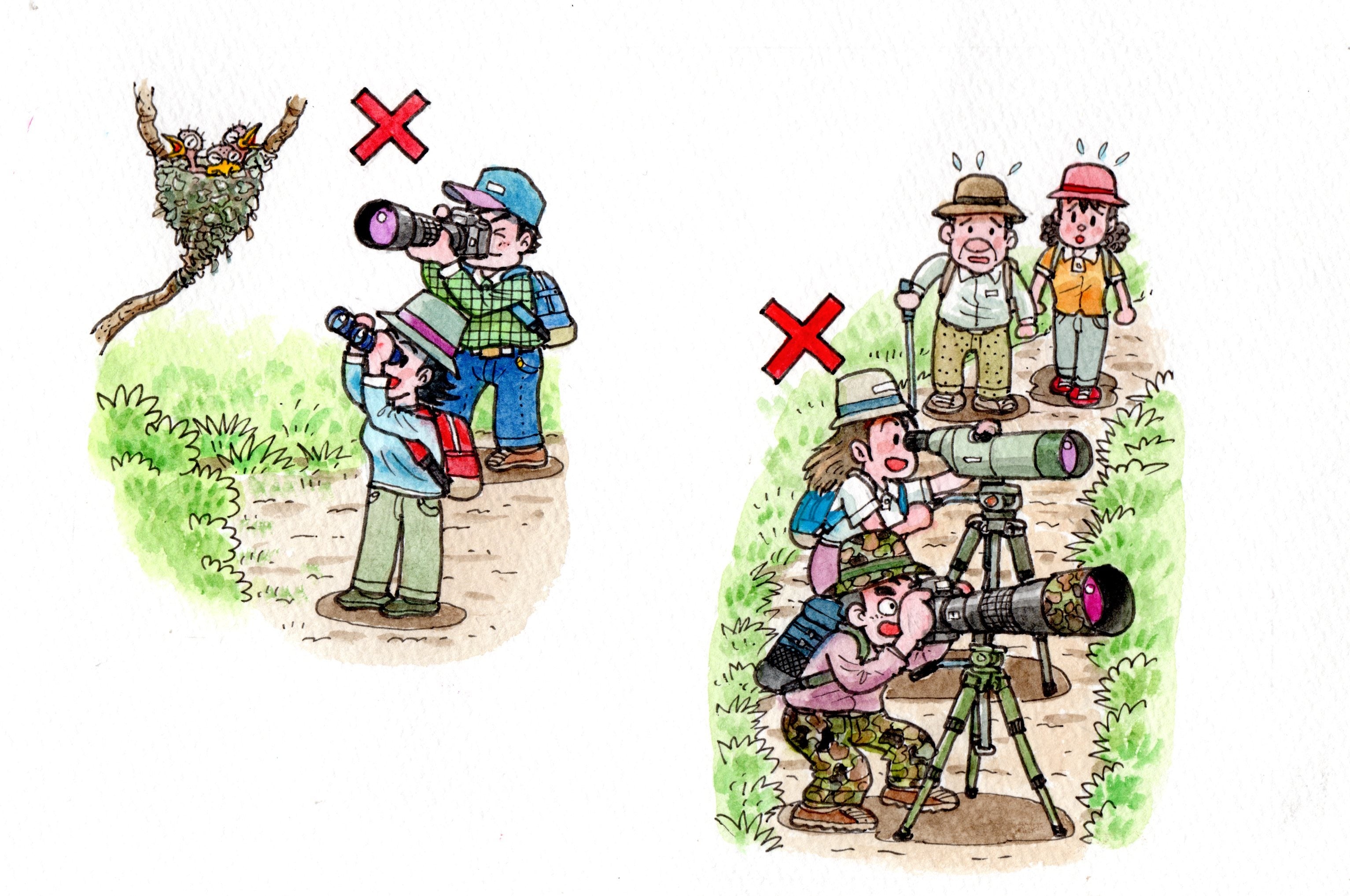 道をふさいだり、営巣中の巣や鳥にちかづかないなどの野鳥観察・撮影のマナーを守りましょう