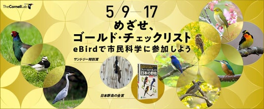 愛鳥週間!めざせ、ゴールド・チェックリスト~eBirdで市民科学に参加しよう~ 愛鳥週間!めざせ、ゴールド・チェックリスト~eBirdで市民科学に参加しよう~