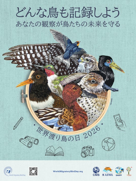 5月9日は「世界渡り鳥の日」どんな鳥も記録しよう―あなたの観察が鳥たちの未来を守る 5月9日は「世界渡り鳥の日」どんな鳥も記録しよう―あなたの観察が鳥たちの未来を守る