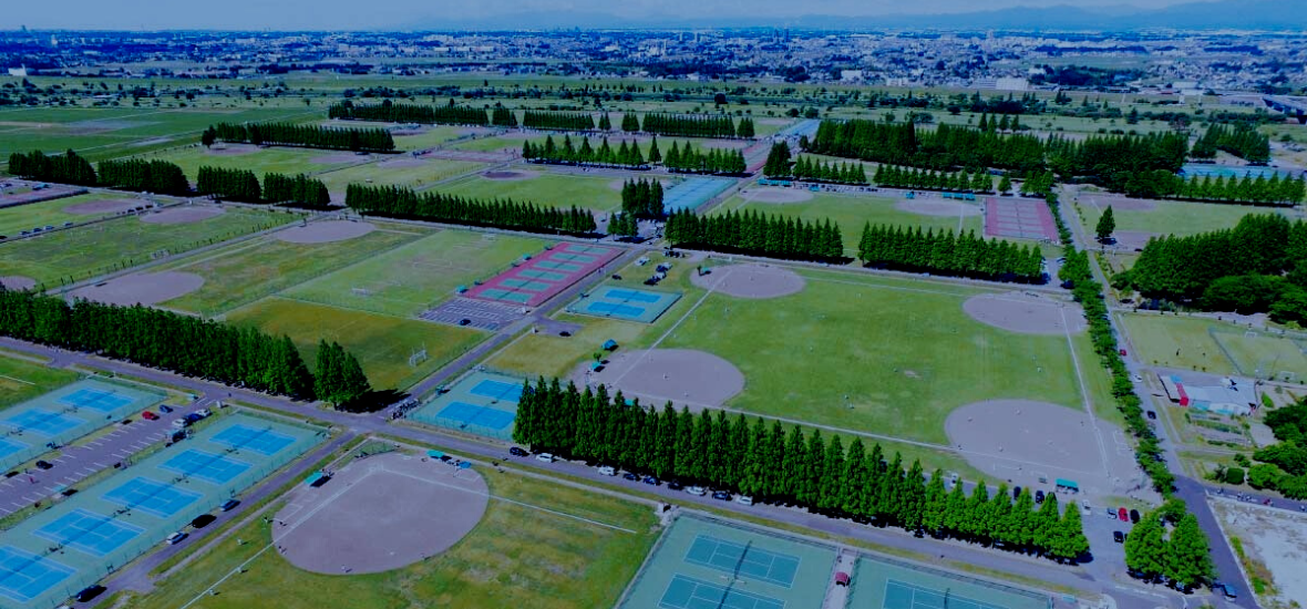 会場となる大宮けんぽグラウンド（提供：トライスポーツ運動会 実行委員会）