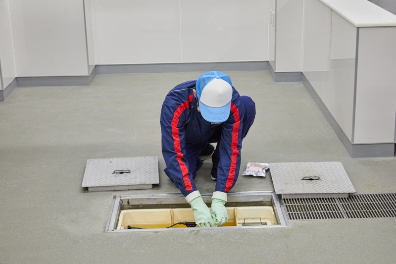 プロのグリストラップ清掃の様子