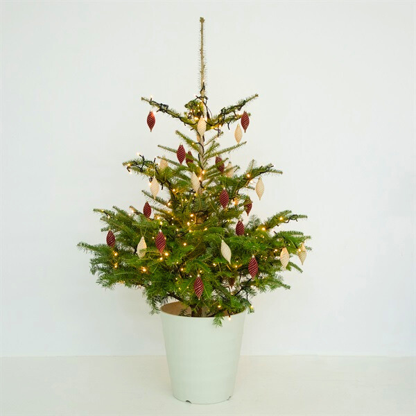 プレスリリース：～返却可能でサステナブルに楽しむクリスマス