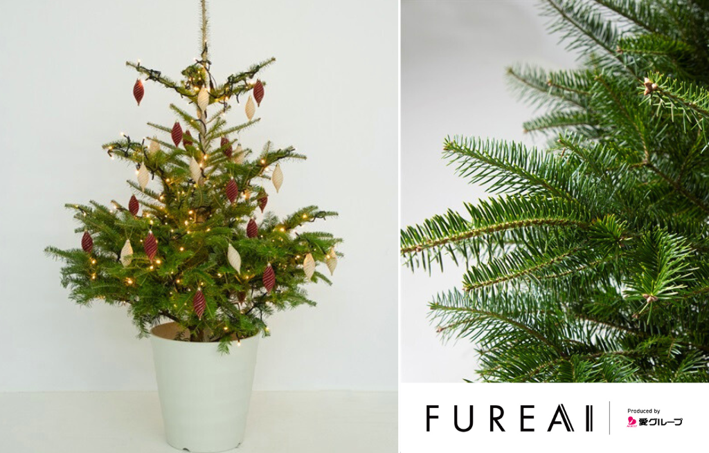 返却可能でサステナブルに楽しむクリスマス～シンボルツリーとしても
