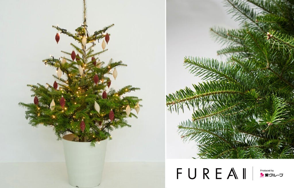 返却可能でサステナブルに楽しむクリスマス~シンボルツリーとしても 返却可能でサステナブルに楽しむクリスマス~シンボルツリーとしても
