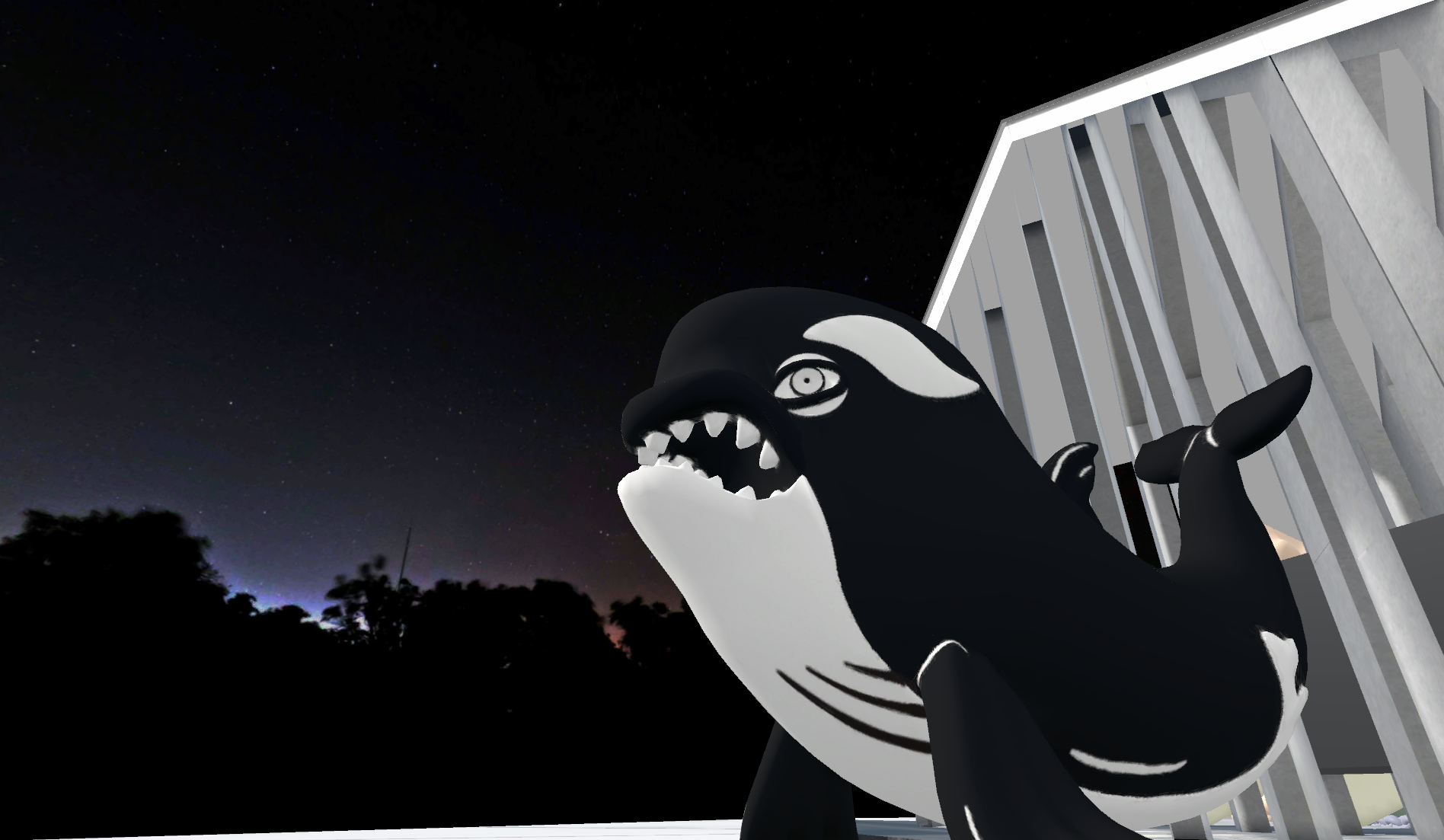 「TEAM SHACHI」公式ロゴ