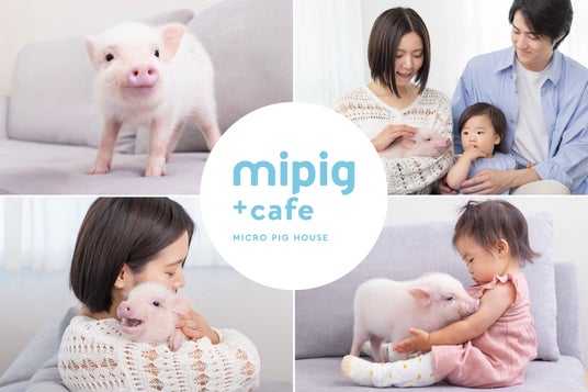 北陸初出店!マイクロブタカフェ『mipig cafe』イオンモール高岡に2026年4月24日(金)オープン 北陸初出店!マイクロブタカフェ『mipig cafe』イオンモール高岡に2026年4月24日(金)オープン