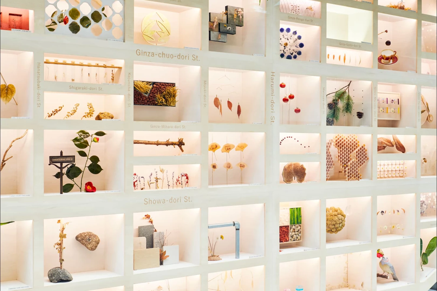 資生堂クリエイティブ×博展 共創プロジェクト「銀座生態図」、英「D&AD