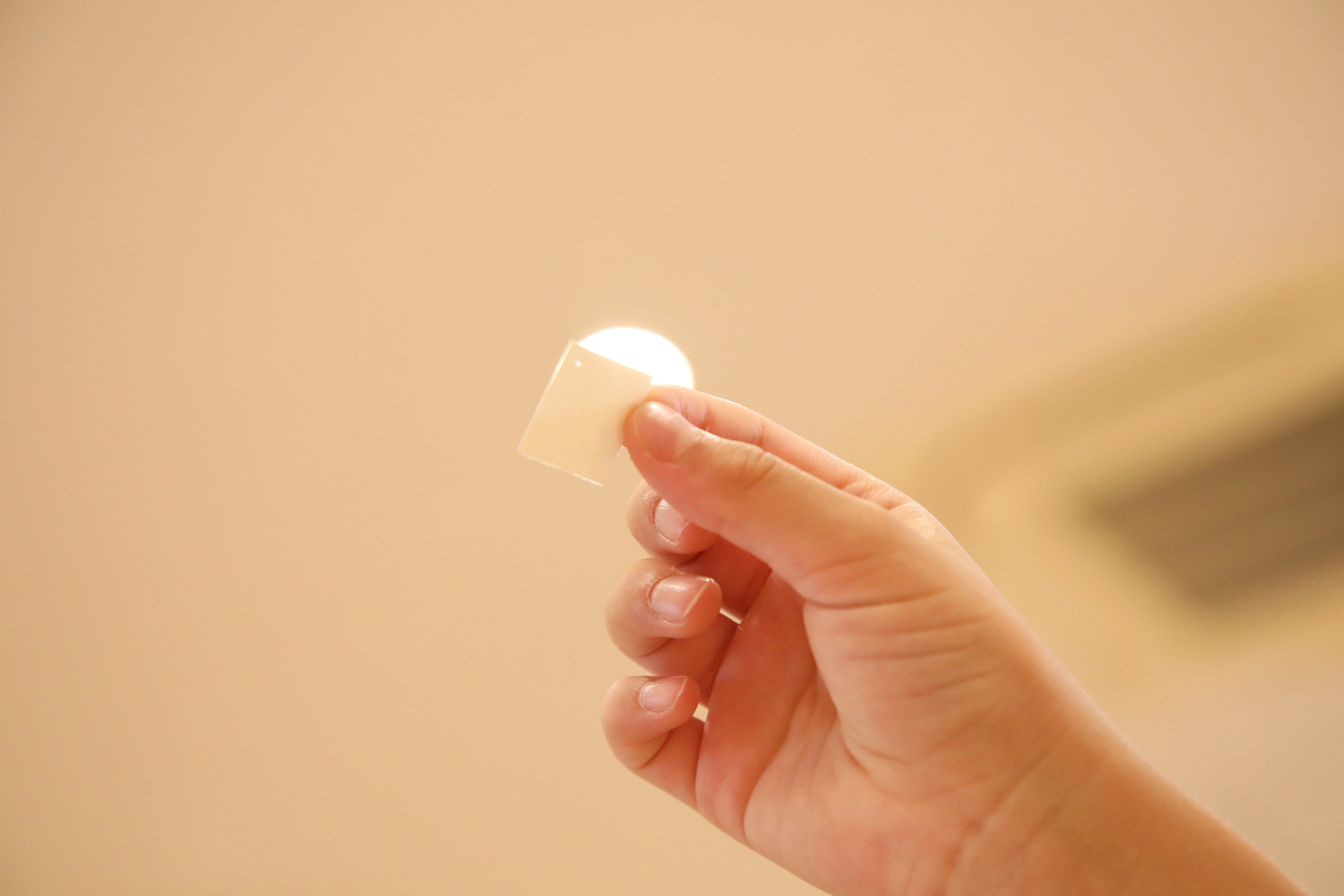 画用紙に穴を空け、実際の受精卵の大きさを目で確認しました