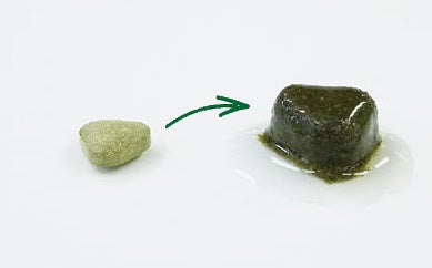 一晩水につけたあおつぶ