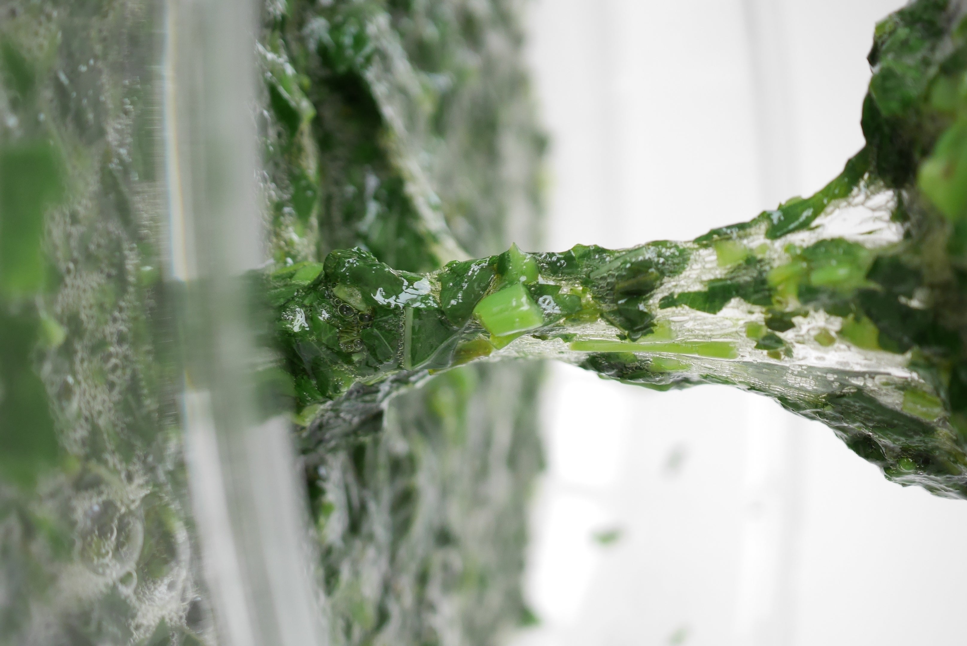 モロヘイヤの水溶性食物繊維