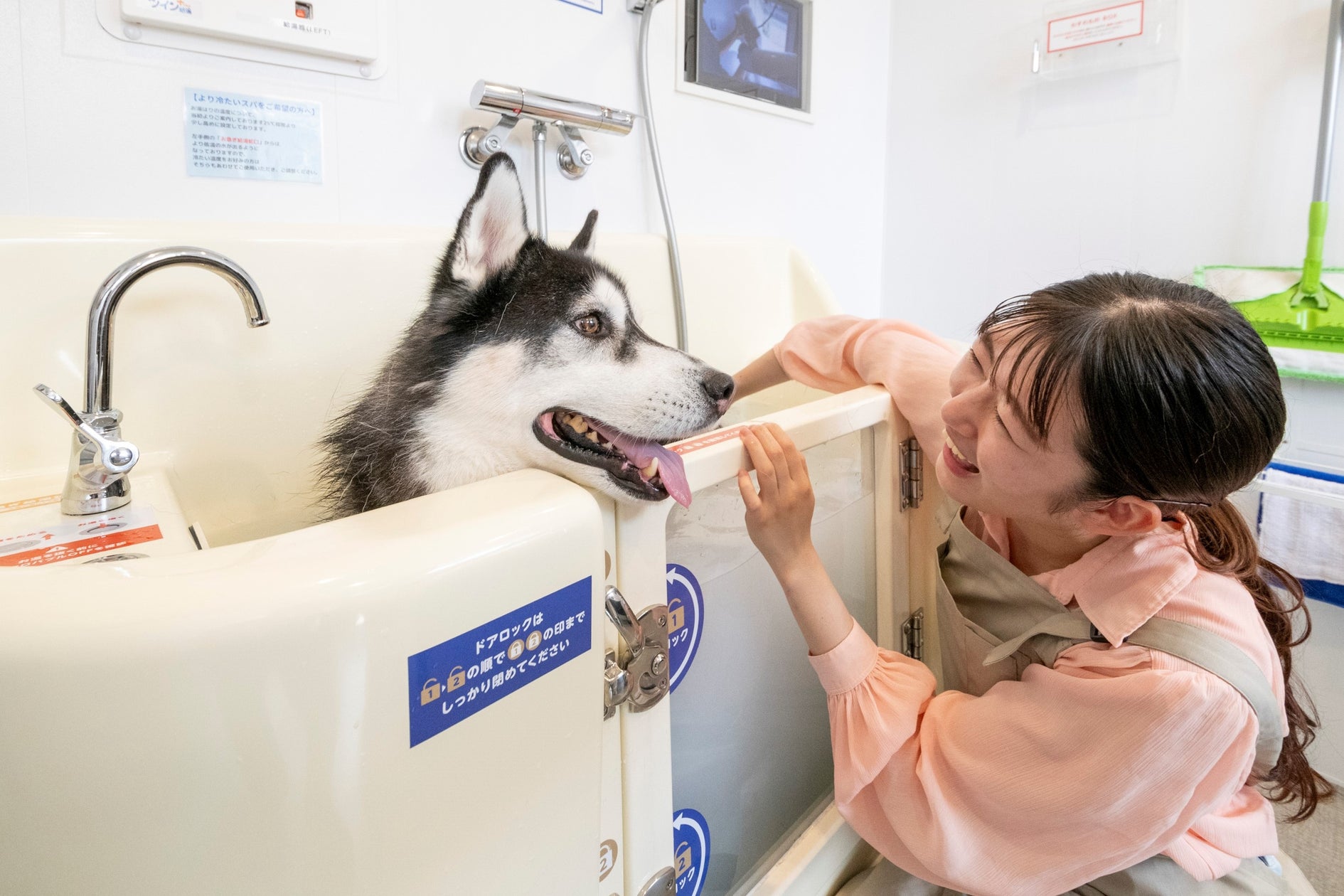 近鉄不動産株式会社が展開するセルフ式ドッグスパ「K・DogSpa(ケイ・ドッグスパ)」事業への参画について