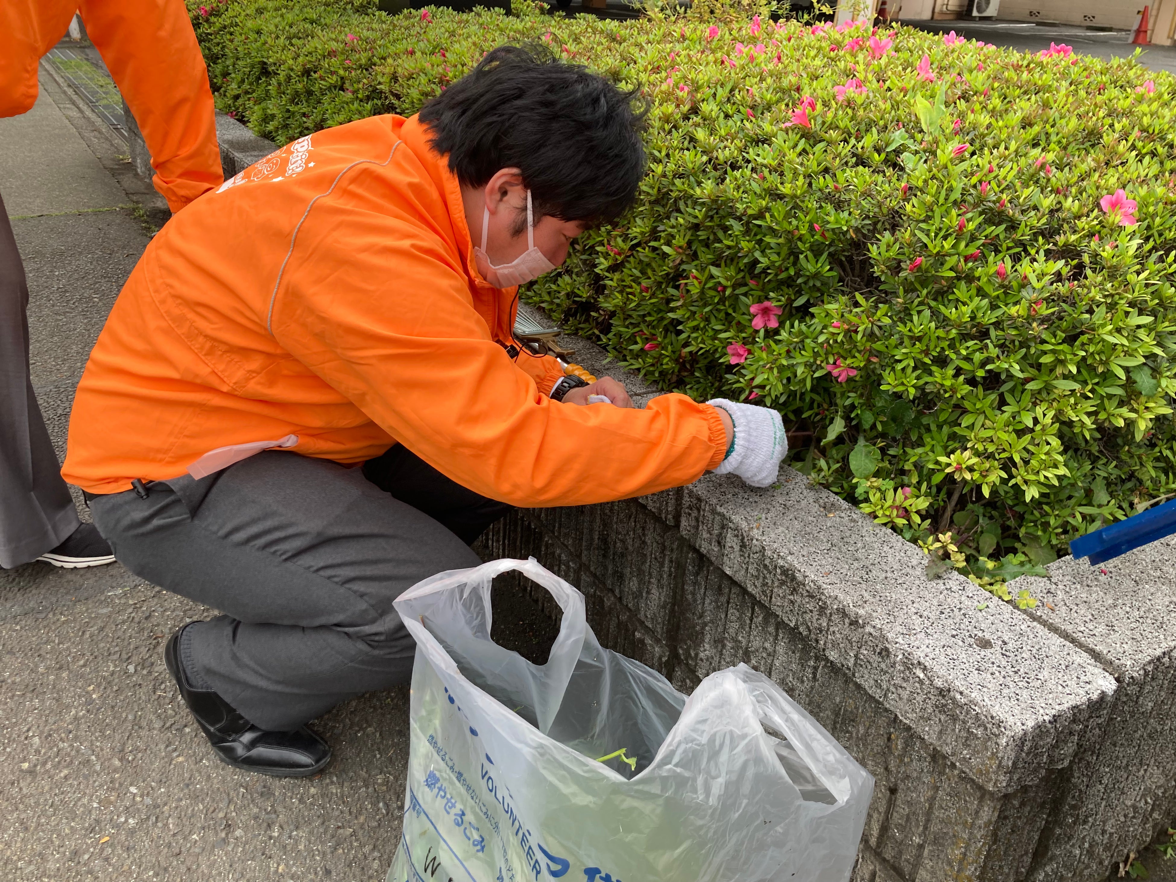 植栽の奥に入り込んだゴミも徹底して拾う