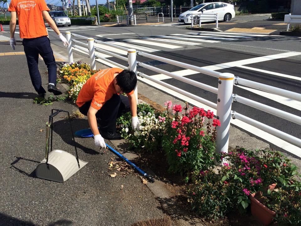 表彰を受けた花壇活動の一部