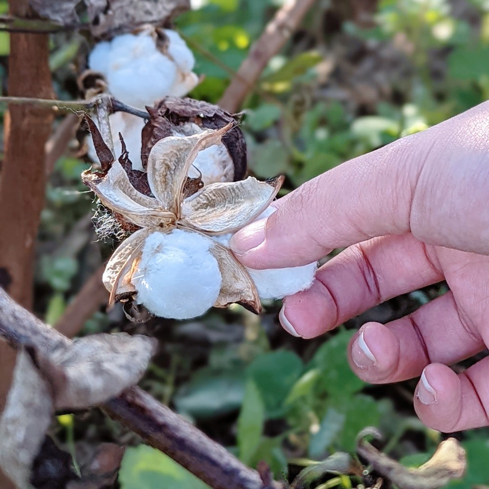 定価26，400円★ VAINL ARCHIVE 超長綿スピン スウェット パーカー T-HOOD ヴァイナルアーカイブ ★M Gray 車LEDフォグランプ H8 H11 H16 兼用 三色切替 28w 発光ホワイト