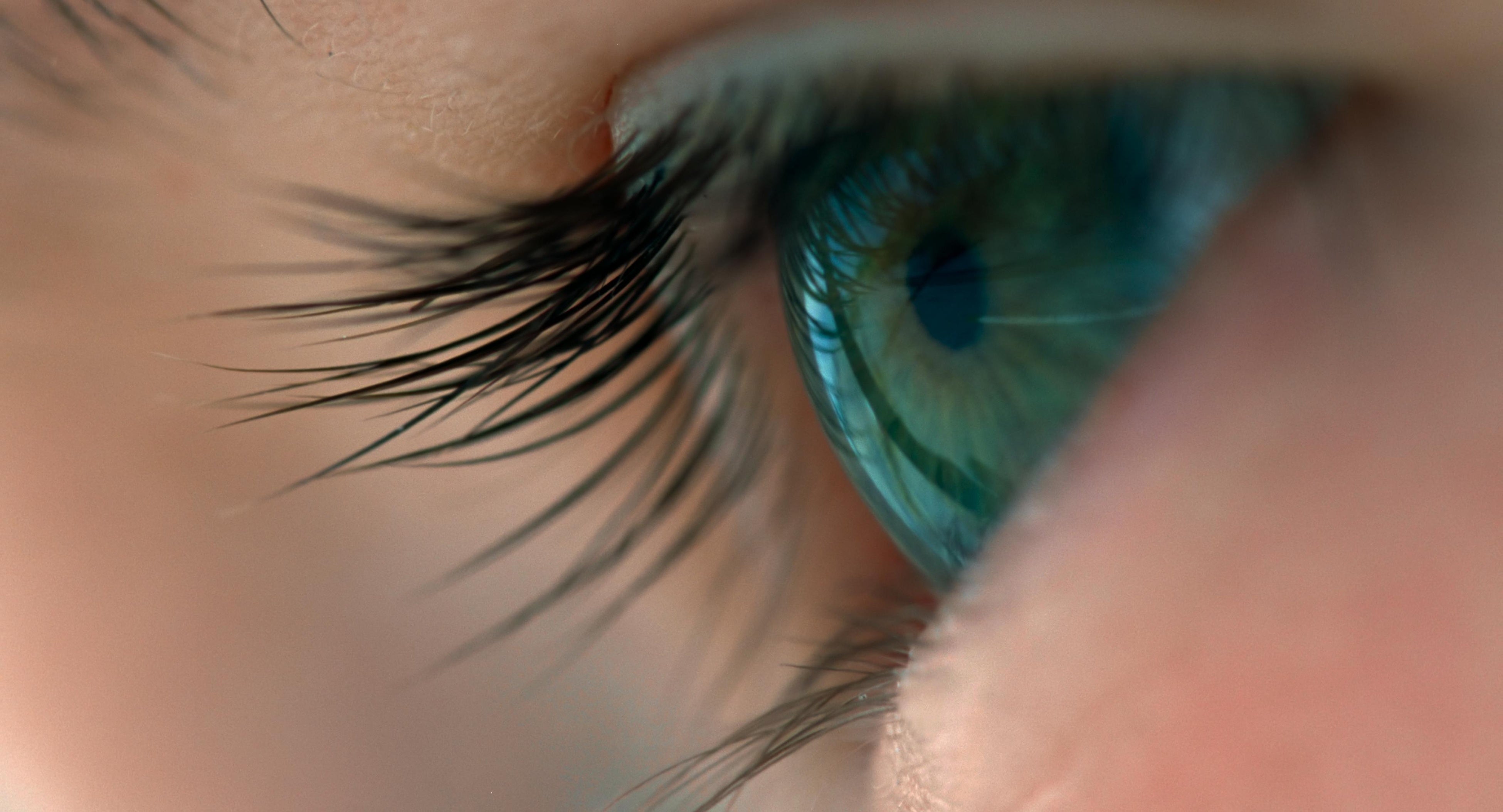 『ボヤージュ・オブ・タイム』（テレンス・マリック監督／2016）©2016 Voyage of Time UG（haftungsbeschränkt）. All Rights Reserved.