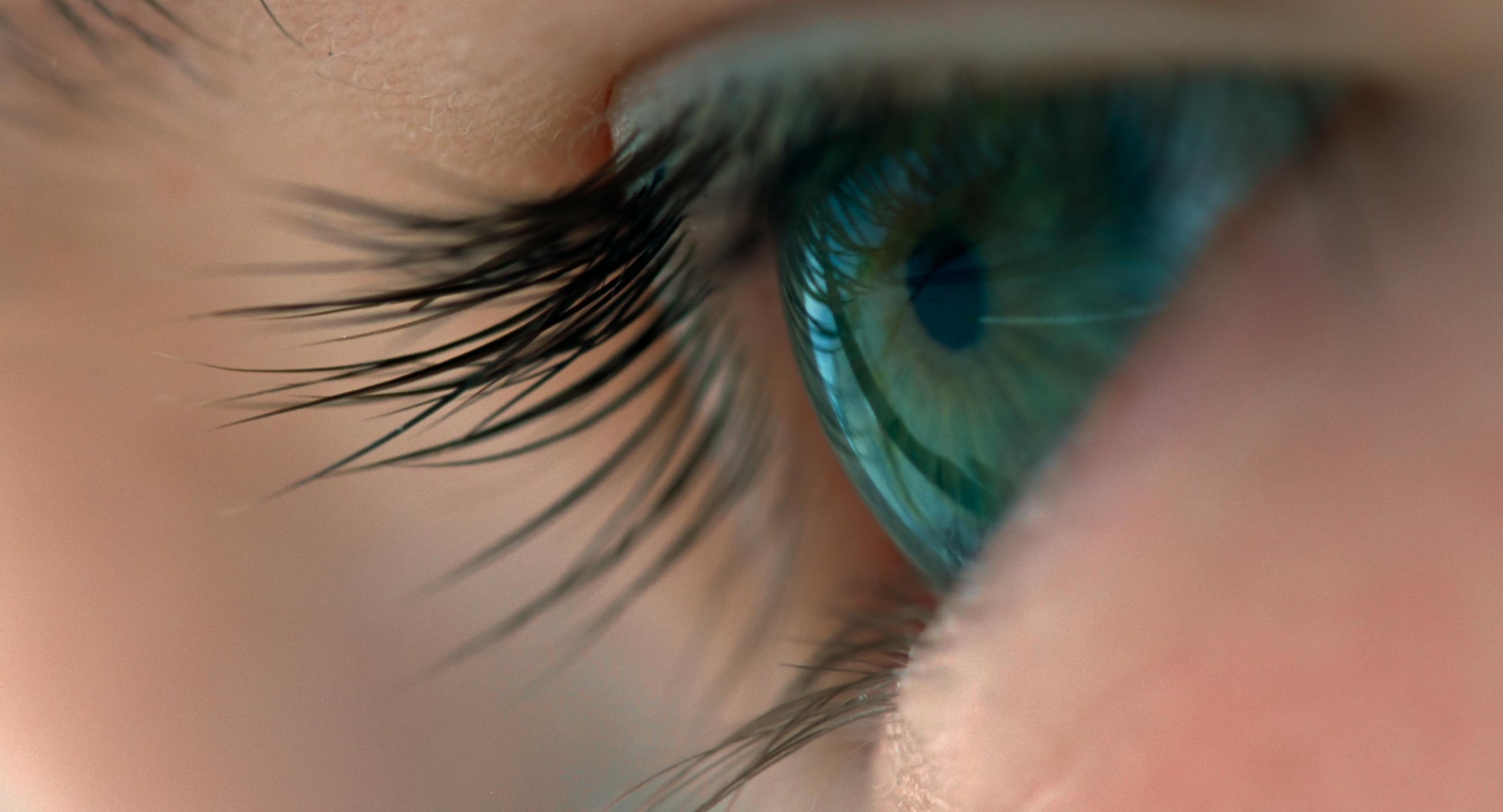 『ボヤージュ・オブ・タイム』(テレンス・マリック監督/2016)©2016 Voyage of Time UG(haftungsbeschränkt). All Rights Reserved.