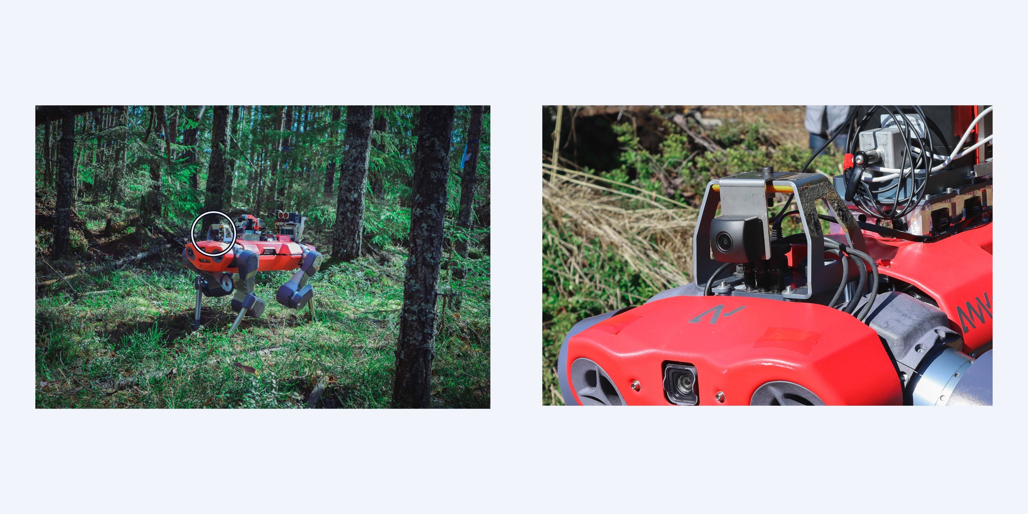 ティアフォー、5Mpixの新車載カメラの受注開始 現行モデル増産と