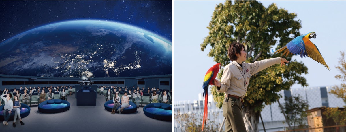 左：バンドー神戸青少年科学館　7月リニューアルオープン！プラネタリウム　右：神戸どうぶつ王国　バードパフォーマンス