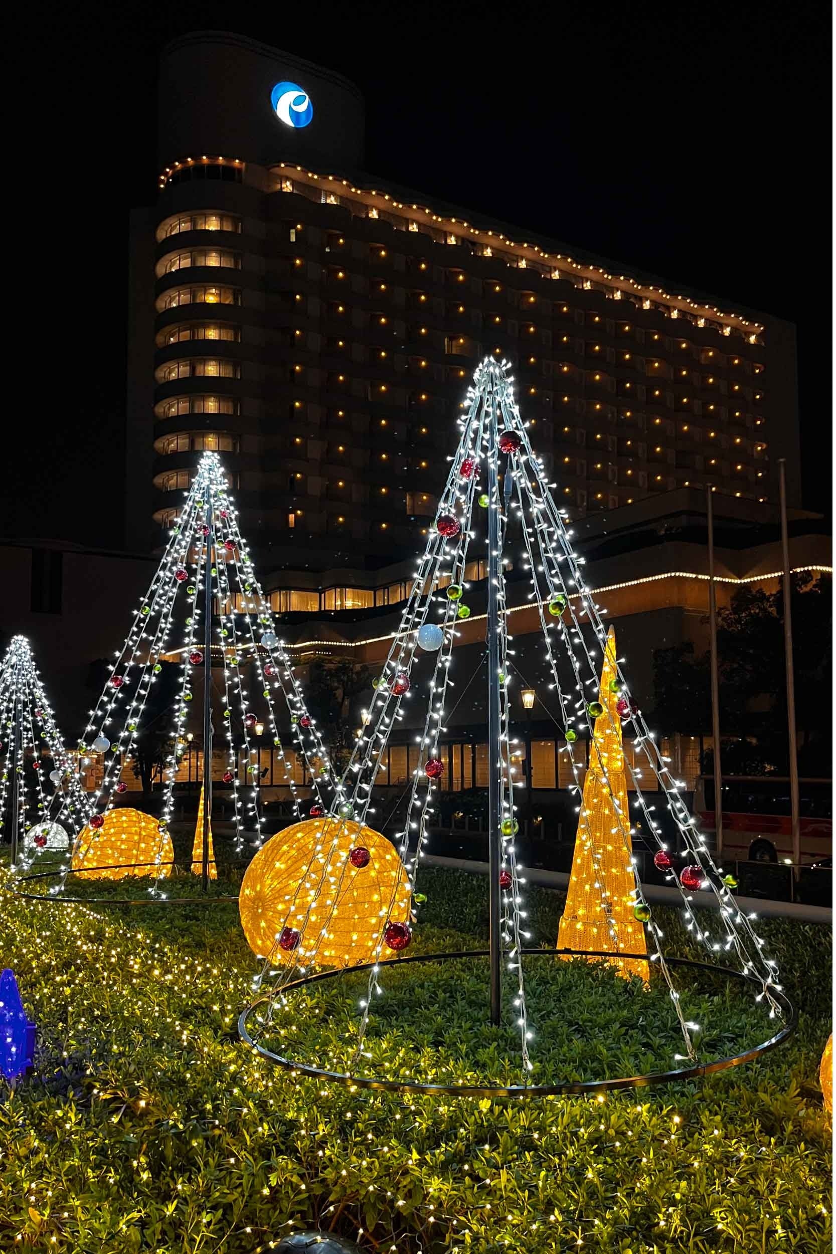 エントランス前　イルミネーション