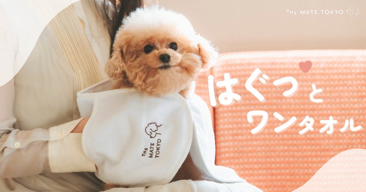 新商品】愛犬を優しく包み込むタオルケア。ハグする感覚で使える「は 新商品】愛犬を優しく包み込むタオルケア。ハグする感覚で使える「は