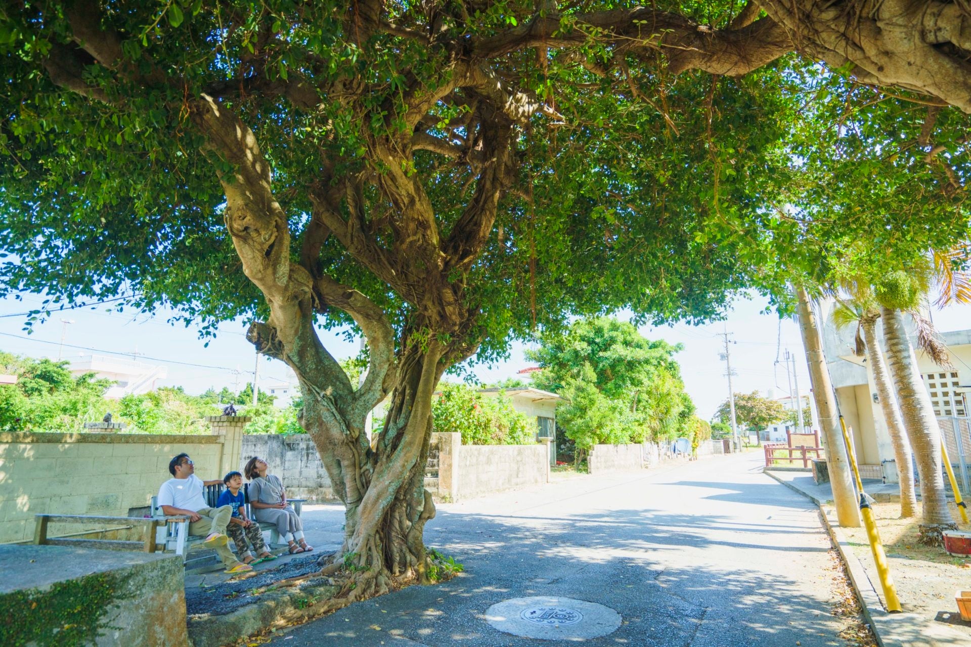 島民の憩いの場