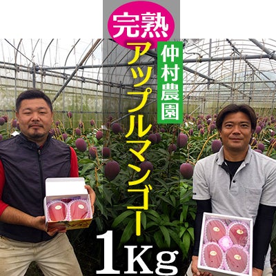 仲村農園のアップルマンゴー