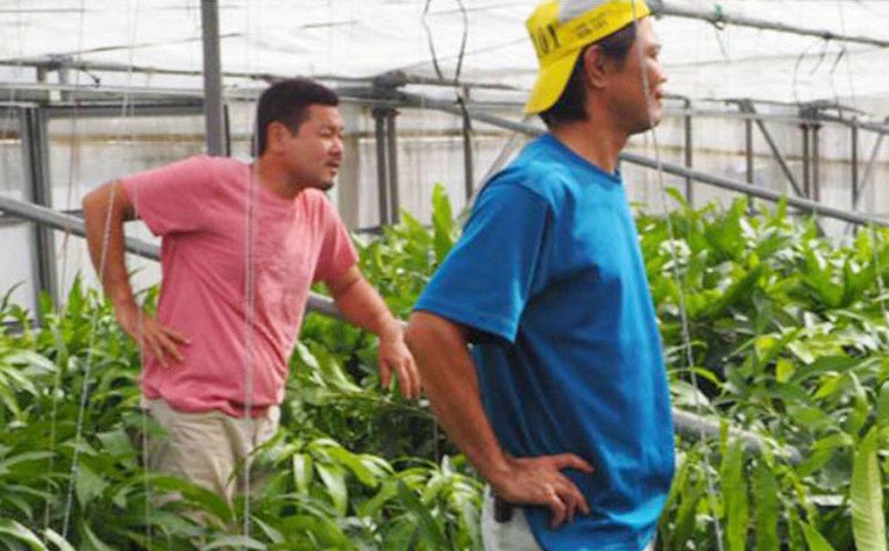 仲村農園（仲村兄弟）