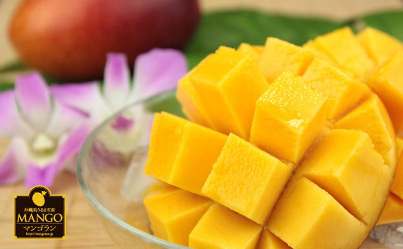 新垣さんのマンゴー