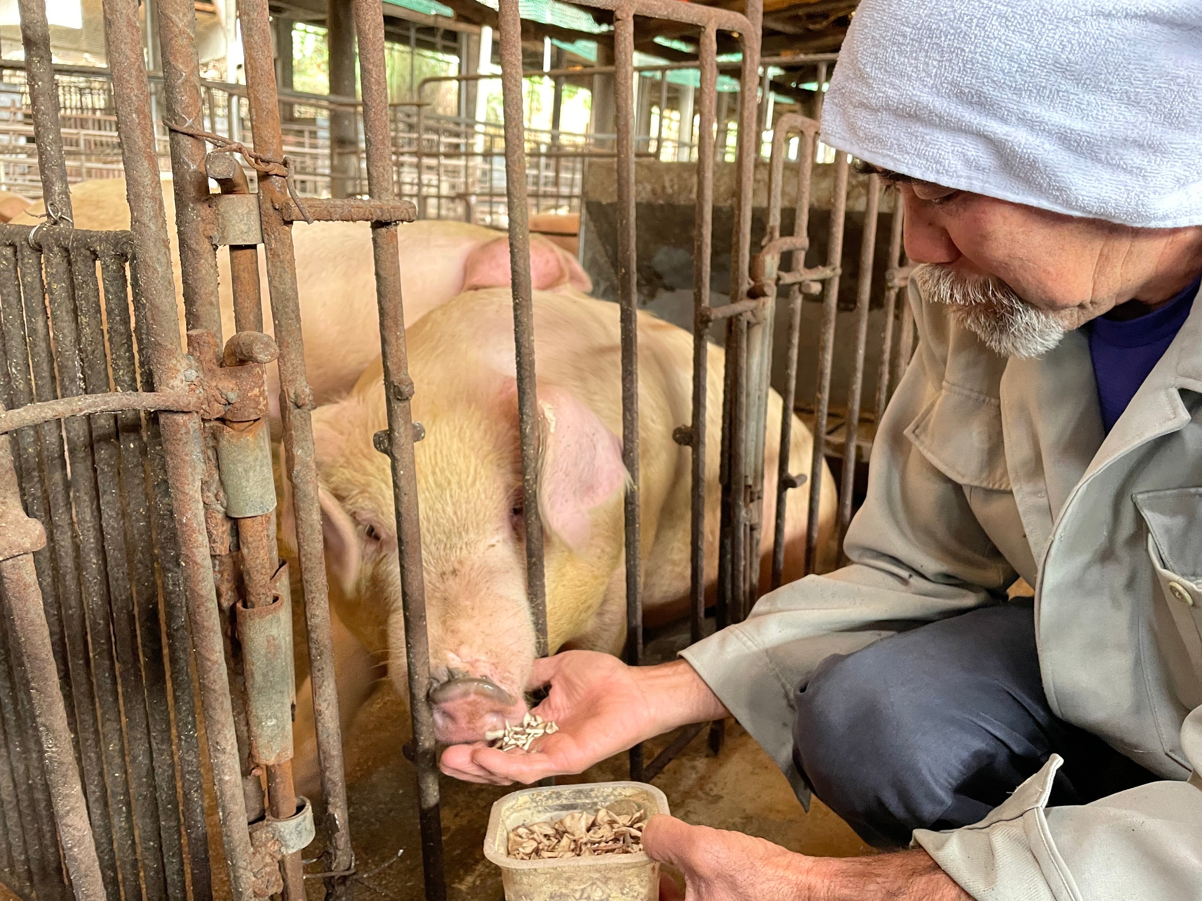 池宮城畜産の池宮城さん
