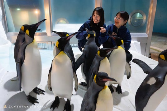 アドベンチャーワールドでしか体験できない「極地探検ツアー ~penguin nice to meet yotour~」誕生 アドベンチャーワールドでしか体験できない「極地探検ツアー ~penguin nice to meet yotour~」誕生