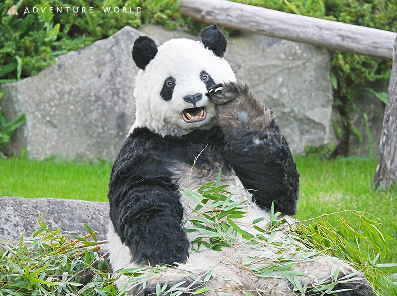 【千葉県佐倉市】手ぶらで焚き火が楽しめるイベント「第1回もえもえ燃えよ!焚き火ヒルズ」開催決定(12/12)