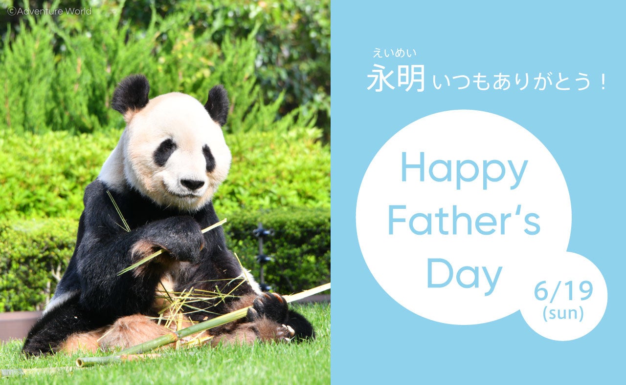 今年30歳 永明 えいめい いつもありがとう 日頃の感謝の気持ちを込めて 父の日 にプレゼントを贈ります 2022年6月19日 日 アドベンチャーワールドのプレスリリース 今年30歳 永明 えいめい いつもありがとう 日頃の感謝の気持ちを込めて 父の日 にプレゼントを贈ります 2022年6月19日 日 アドベンチャーワールドのプレスリリース