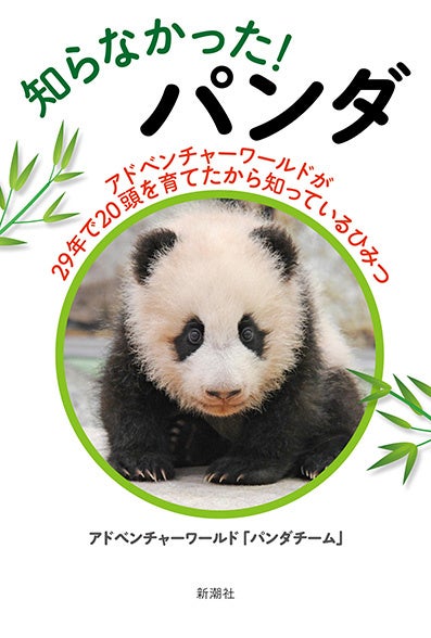 パンダ 高品質 5ヶ月齢もうらん 親子で楽しむ 特別な思い出 パンダチーム』執筆の書籍知らなかった！ パンダ―アドベンチャー