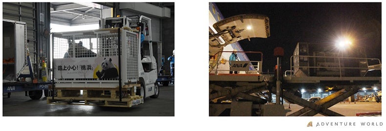 ■関西国際空港での様子