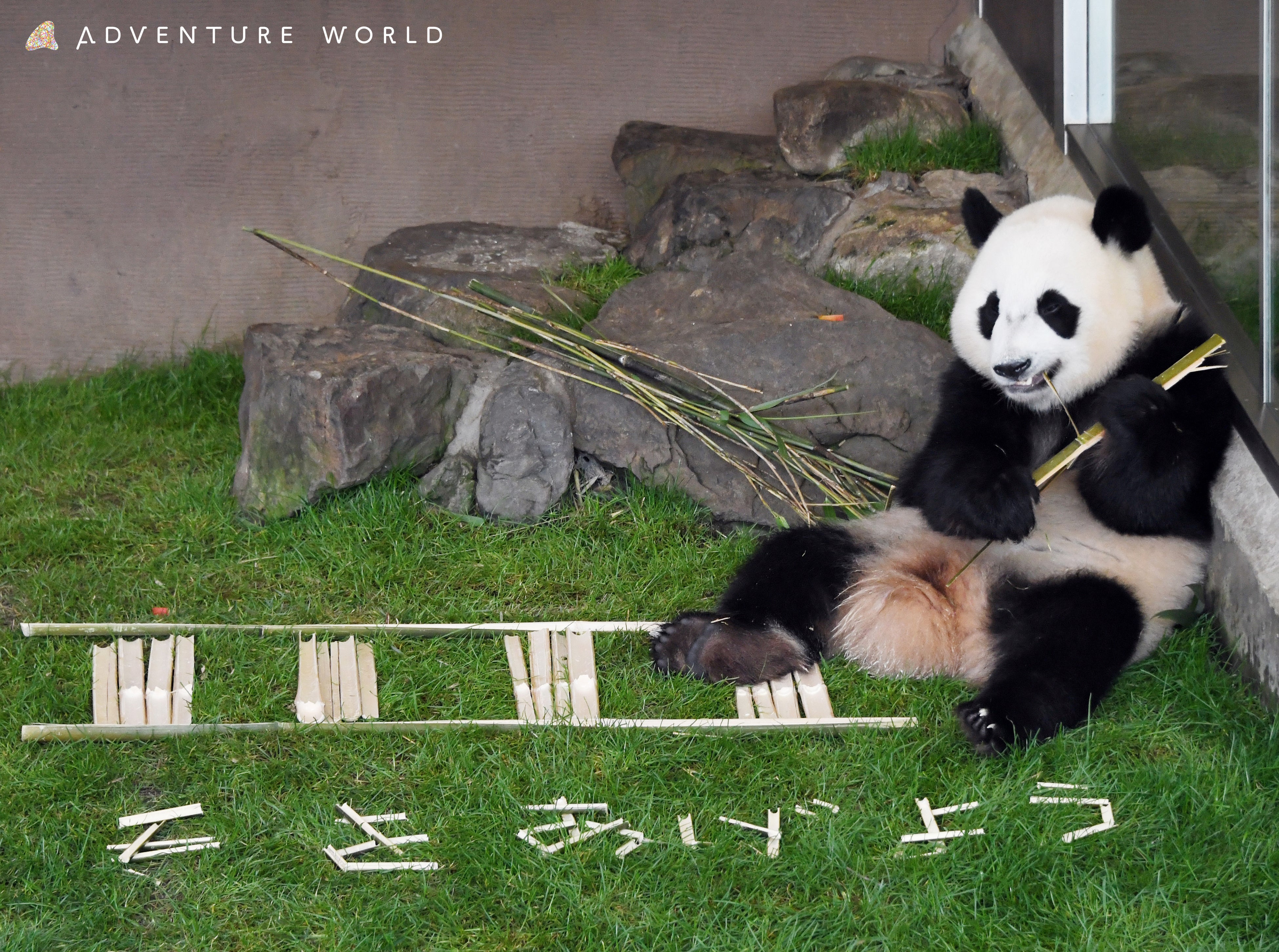 昨年度のわかやま夏の全国交通安全運動広報活動の様子　撮影：２０２２年７月１１日