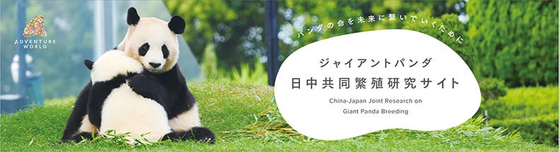 ジャイアントパンダ 　ポスター(昭和当時品) 谷口キヨコ on X: 