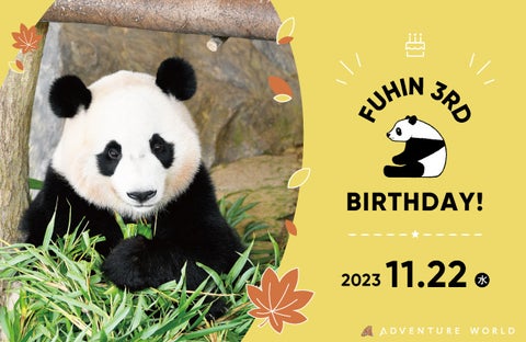 HAPPY PANDA FES 2023 ジャイアントパンダ「楓浜(ふうひん)」3歳の誕生会 2023年11月22日(水・休園日) HAPPY PANDA FES 2023 ジャイアントパンダ「楓浜(ふうひん)」3歳の誕生会 2023年11月22日(水・休園日)