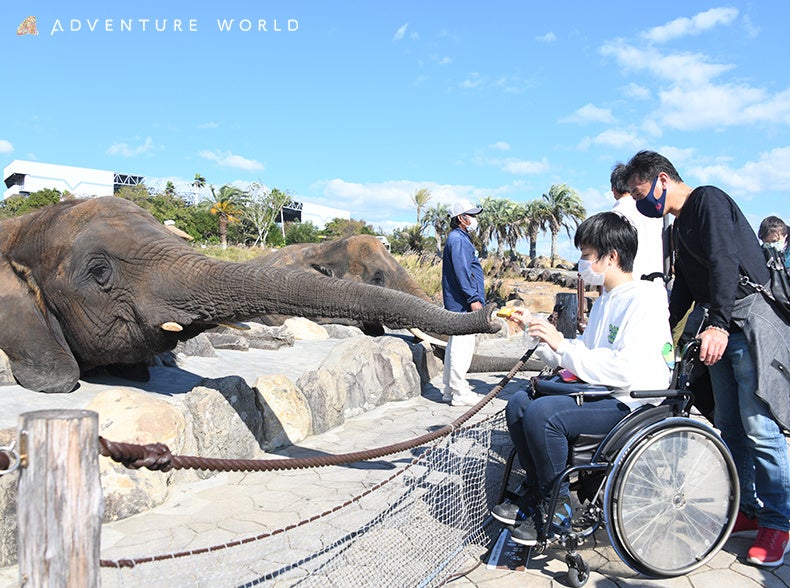 ドリームデイ・アット・ザ・ズーの様子