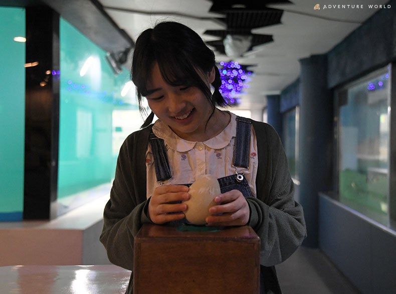 アドベンチャーワールドの「世界ペンギンの日」イベント:ペンギンベース特別公開!「ペンギンたちのヒミツ大解剖!」を体験しよう アドベンチャーワールドの「世界ペンギンの日」イベント:ペンギンベース特別公開!「ペンギンたちのヒミツ大解剖!」を体験しよう