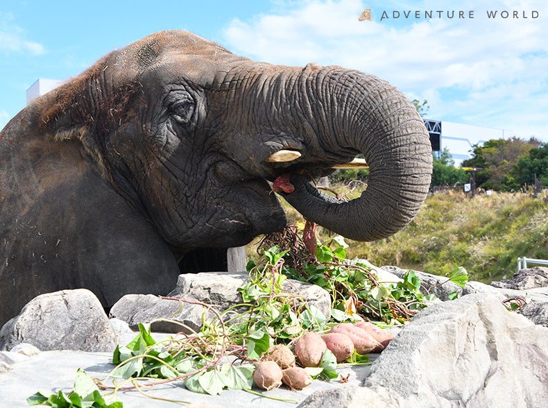 ２０２２年度プレゼントの様子