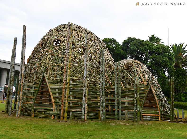 ２０２３年作品「Love of “彩浜”」