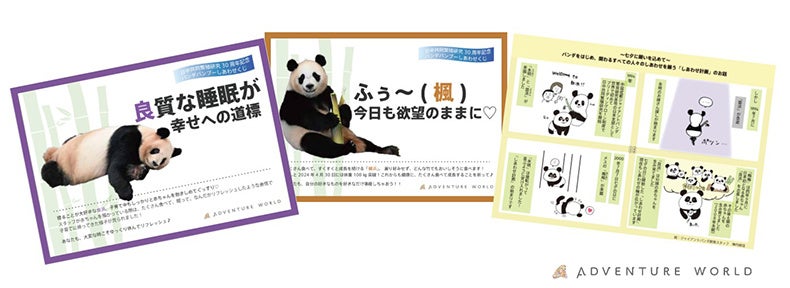 パンダバンブーしあわせくじ