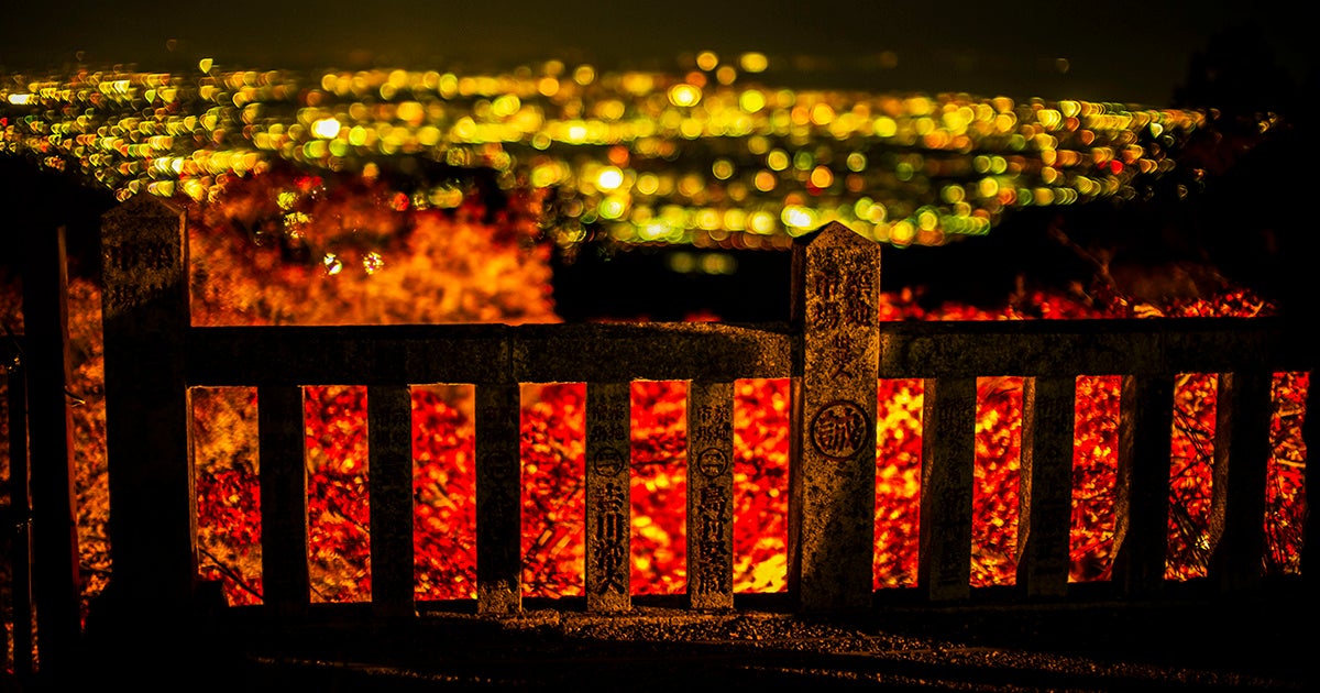 ライトアップされた紅葉と美しい夜景