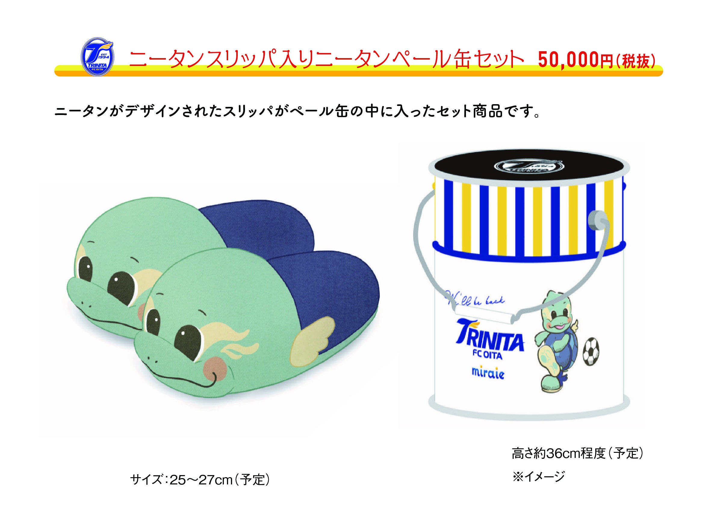 大分トリニータ 個人型スポンサー「miraie」募集開始のお知らせ